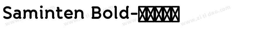 Saminten Bold字体转换